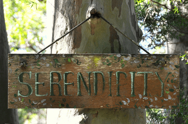 Serendipity… or Life Giving You a Not So Subtle Nudge?